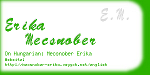 erika mecsnober business card